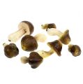Floristik24 Decorative mushrooms in the net 5-8cm assorted. brown 8pcs