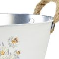 Floristik24 Decorative bowl oval metal white natural flowers decor L26cm
