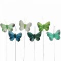 Floristik24 Deco butterfly on wire green, blue 5-6cm 24p