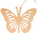 Deco butterflies deco hanger orange/pink/yellow 12cm 12pcs
