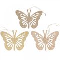 Floristik24 Deco butterflies deco hanger beige/pink/yellow 12cm 12pcs