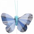 Floristik24 Deco butterflies feather butterfly pink, blue 6cm 24p