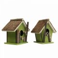 Floristik24 Decorative birdhouse wooden decorative nesting box green natural H14.5cm set of 2