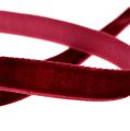Floristik24 Decorative ribbon Velvet Bordeaux 10mm 20m