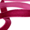 Floristik24 Decorative ribbon Velvet Erika 10mm 20m