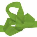 Floristik24 Gift and decoration ribbon green 50m