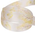 Decorative ribbon with leafy branch motif, organza ribbon, 25mm wide, 20m long | Floristik24.ie