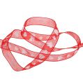 Floristik24 Deco ribbon with heart motif 15mm 20m