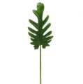 Floristik24 Decorative leaves Philodendron green W11cm L34cm 6pcs