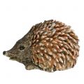 Floristik24 Decorative figure hedgehog brown 6.5cm