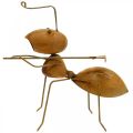 Floristik24 Decorative figure ant metal with rake garden decoration rust 21.5cm