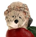 Floristik24 Decorative figure hedgehog on apple 7.5cm ceramic