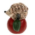 Floristik24 Decorative figure hedgehog on apple 7.5cm ceramic