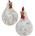 Floristik24 Dekofiguren chicken and rooster 5.5cm - 6.5cm 6pcs