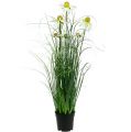 Floristik24 Decorative grass with chamomile in a pot Artificial 66cm