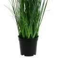 Floristik24 Decorative grass with chamomile in a pot Artificial 66cm