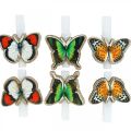 Floristik24 Decorative clip butterfly, gift decoration, spring, butterflies made of wood 6pcs