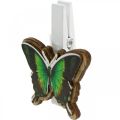Floristik24 Decorative clip butterfly, gift decoration, spring, butterflies made of wood 6pcs