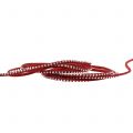 Floristik24 Decorative cord leather cord red with rivets 3mm 15m