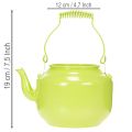 Decorative teapot as a flower vase, nostalgic retro style | Floristik24.ie