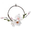 Floristik24 Decorative ring artificial magnolia spring decoration for hanging Ø24cm