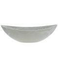 Floristik24 Decorative bowl light gray 55.5cm x 14cm H17.5cm, 1p