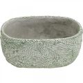 Floristik24 Decorative bowl ceramic oval green white gray fir branches L22.5cm