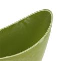 Floristik24 Decorative bowl plastic light green 20cm x 9cm H11.5cm, 1p