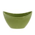 Floristik24 Decorative bowl plastic light green 20cm x 9cm H11.5cm, 1p