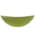 Floristik24 Decorative bowl light green 39cm x 13cm H13cm, 1p