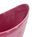 Floristik24 Decorative bowl plastic pink 20cm x 9cm H11.5cm, 1p