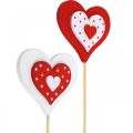 Floristik24 Decorative plug heart, wedding decoration, flower decoration for Valentine&#39;s Day, heart decoration 18pcs