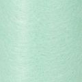Green non-woven fabric roll, 25m, table decoration, sold by the meter | Floristik24.ie
