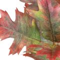 Floristik24 Deco branch autumn deco leaves oak leaves red, green 100cm