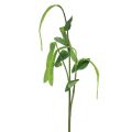 Floristik24 Decorative branch bean branch artificial plant green 95cm