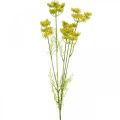 Floristik24 Yellow Dill Artificial Herb Plant Dill for Decorate L80cm