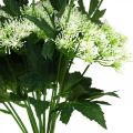 Floristik24 Dill blooming, artificial herbs, decorative plant green, white 49cm 9pcs