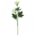 Floristik24 Dill blooming, artificial herbs, decorative plant green, white 49cm 9pcs