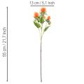 Artificial orange safflower as an artificial flower for vases and decoration, 55cm, 4 pieces | Floristik24.ie