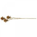 Floristik24 Thistle Branch Brown Artificial Plant Fall Decoration 38cm Artificial plant like the real thing!