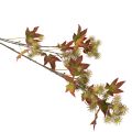 Artificial autumn branch of sweetgum tree with leaves and fruit clusters, 132cm | Floristik24.ie