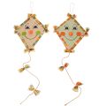 Floristik24 Decorative dragon with face and hanger, autumn decoration, 40cm, 2 pieces