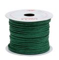 Floristik24 Wire wrapped around 50m green