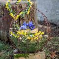 Floristik24 Wire Basket Metal Planter Spring Decoration Easter Basket Brown Patina H34cm L30cm