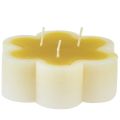 Floristik24 Three-wick candle decorative flower candle yellow white Ø11.5cm H4cm