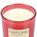 Scented candle in glass natural wax candle Winter Dreams 85×70mm | Floristik24.ie