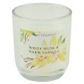 Floristik24 Scented candle in glass Vanilla White Musk Ø7,5cm H8,5cm