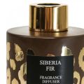 Floristik24 Room fragrance diffuser Siberian fir Siberia Fir 75ml