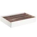 Solid coloured candles, taper candles, copper 50x300mm, 4 pieces | Floristik24.ie