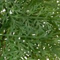 Artificial fern branch, multiple branches, green, 68cm | Floristik24.ie